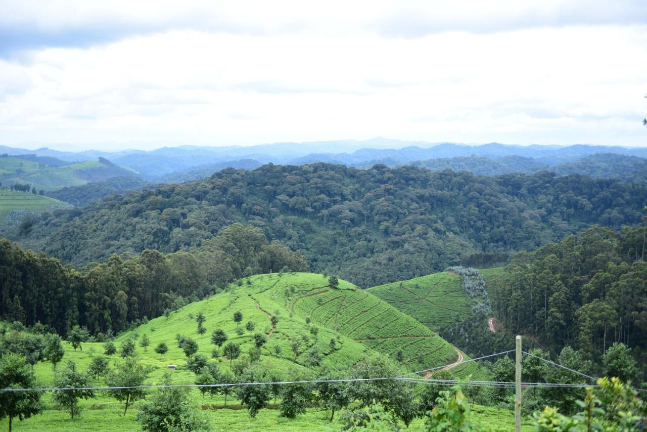 Nyungwe Village Kitabi 외부 사진