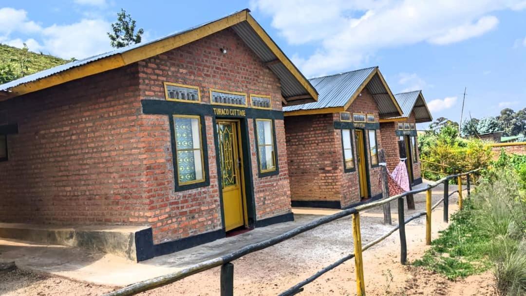 Nyungwe Village Kitabi 외부 사진