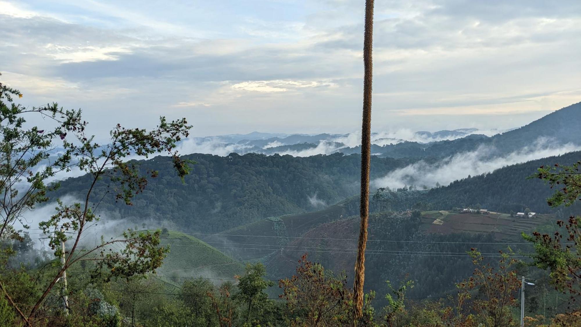 Nyungwe Village Kitabi 외부 사진