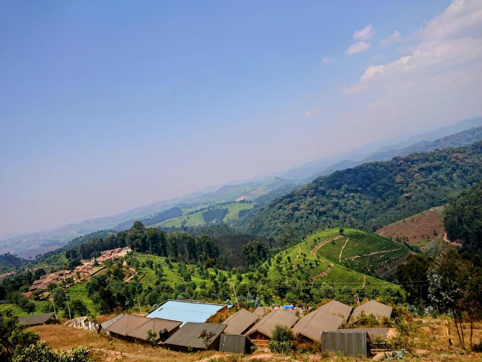 Nyungwe Village Kitabi 외부 사진
