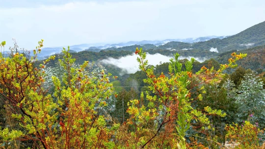 Nyungwe Village Kitabi 외부 사진